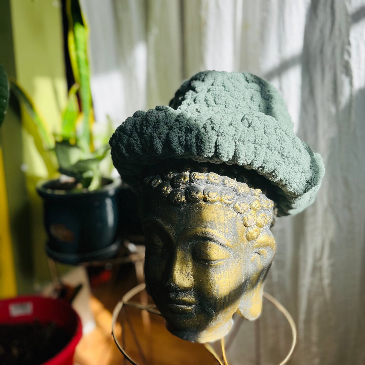 BoxTop Beanie : Clay Green